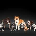 Underdogs_NewComposite_MEv5_7dogsNoChandler1v2__mid