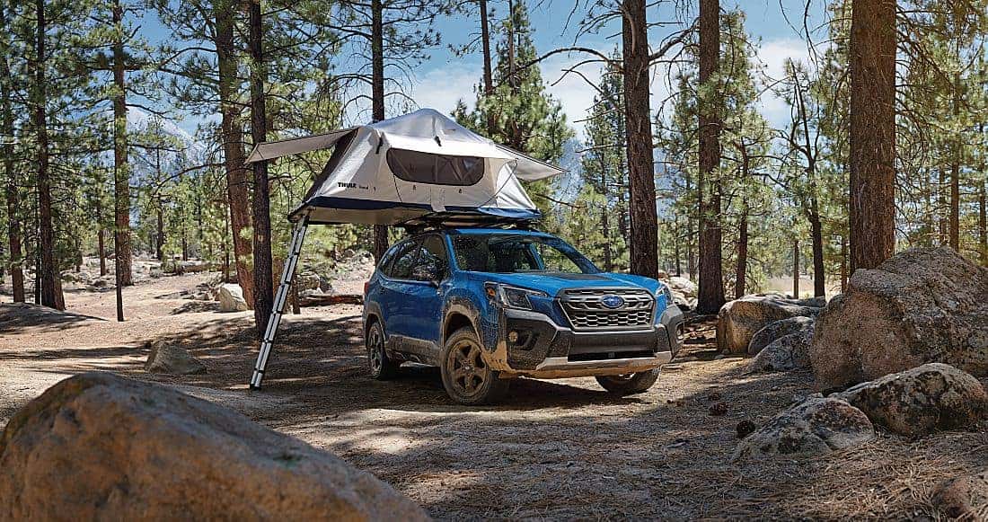 roof tent 2024 subaru outback wilderness